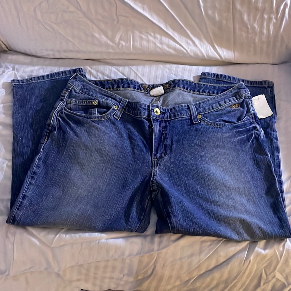 Anisette ankle length jeans. Size 16. NWTs